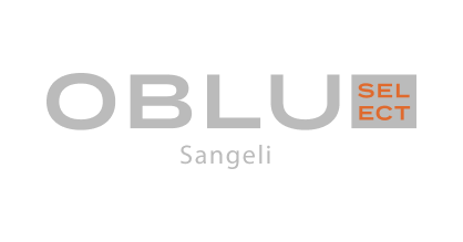 Partner Logo 7